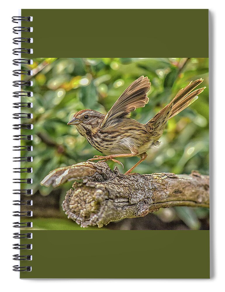 Linda Brody Spiral Notebook featuring the photograph Savannah Sparrow Wings 1 by Linda Brody