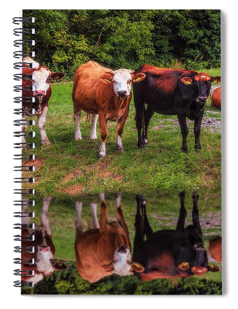 Animals Spiral Notebook featuring the photograph Saying Hello in the Morning Sun by Debra and Dave Vanderlaan