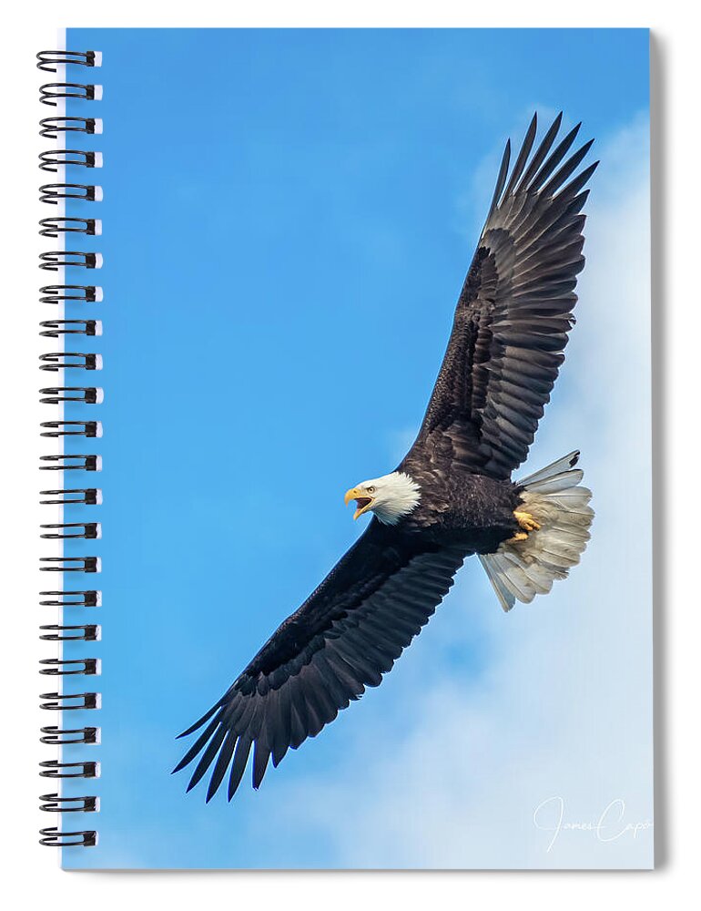 Alaska Spiral Notebook featuring the photograph Screaming Eagle #2 by James Capo