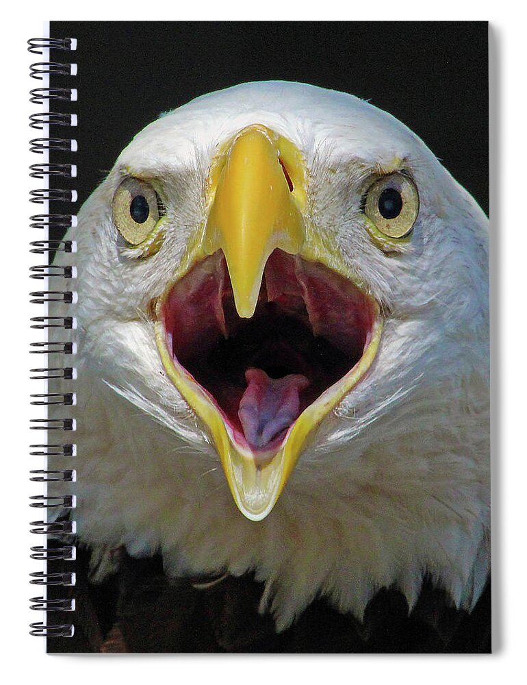 Eagle Spiral Notebook featuring the photograph Screaming Eagle by Michael Allard
