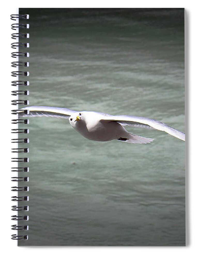 Seabird Spiral Notebook featuring the photograph Seabird Over Alaska by Veronica Batterson