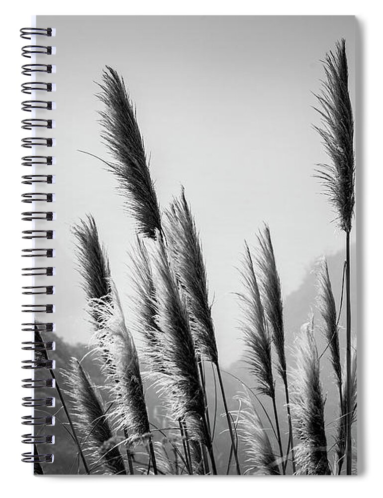 Pacific Spiral Notebook featuring the photograph Sea Oats I BW by David Gordon