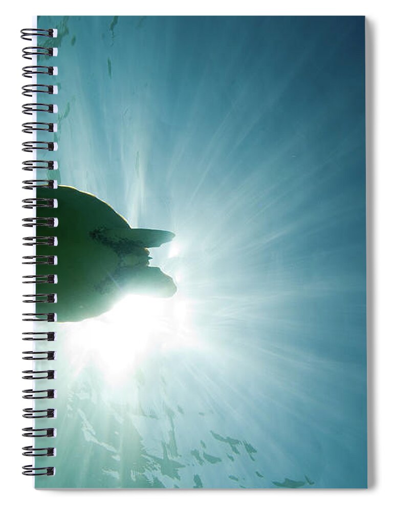 Underwater Spiral Notebook featuring the photograph Sea Turtle by M.m. Sweet