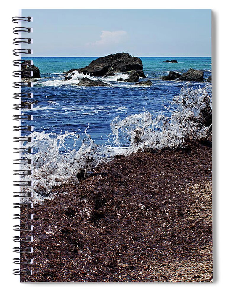 Tranquility Spiral Notebook featuring the photograph Sea Weed Covering Sandy Beach by David Gould
