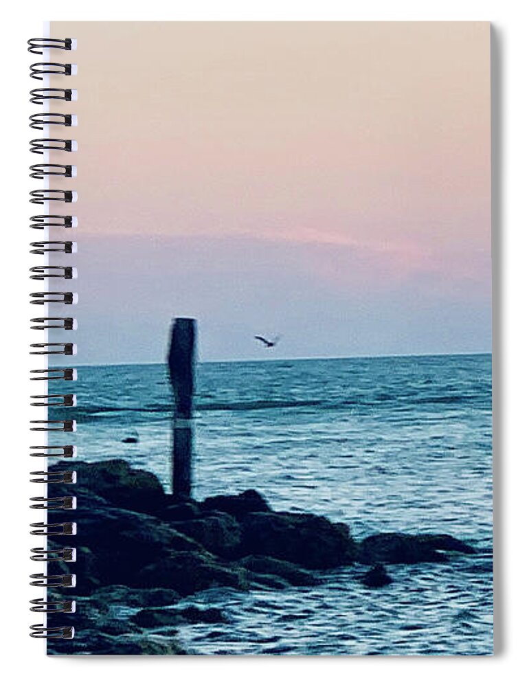 Birds Spiral Notebook featuring the photograph Seabirds Feeding at Sunset in Captiva Island Florida off the Jetty by Shelly Tschupp
