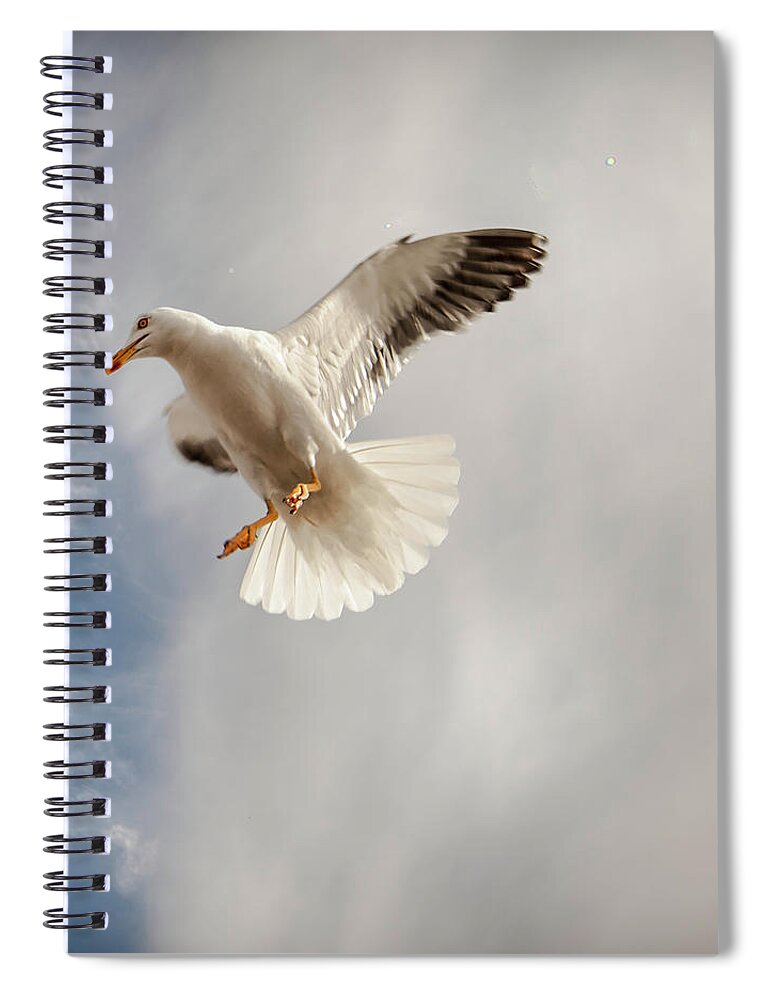 Animal Themes Spiral Notebook featuring the photograph Seagull by Johann S. Karlsson