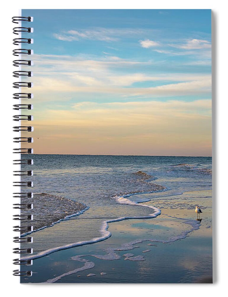 Seagull Spiral Notebook featuring the photograph Seagull On The Beach by Dennis Schmidt