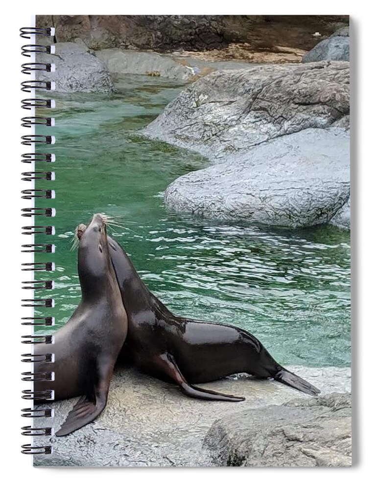 Blue Spiral Notebook featuring the photograph Seal by Aswini Moraikat Surendran