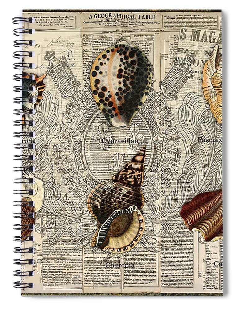  Spiral Notebook featuring the digital art Seashell Collection Two by Terry Kirkland Cook