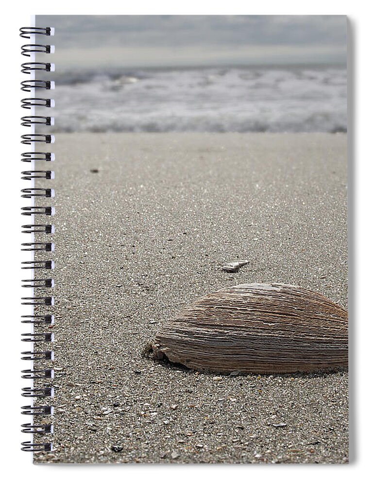Beach Spiral Notebook featuring the photograph Seashell by David Palmer