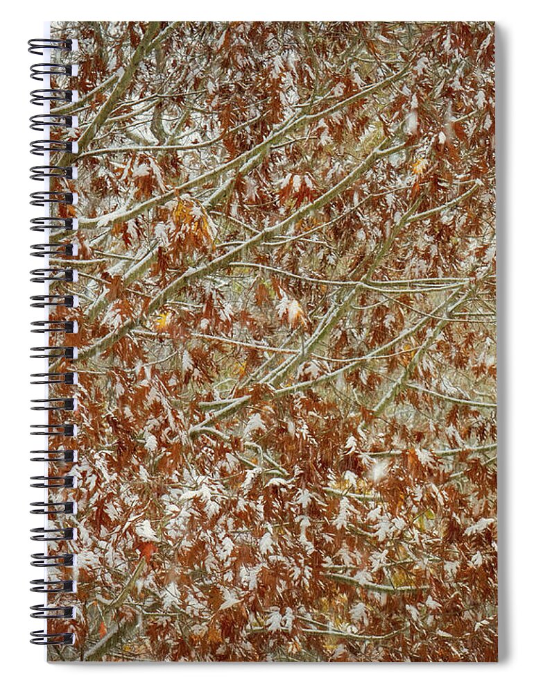 Snow Spiral Notebook featuring the photograph Season shift by Izet Kapetanovic