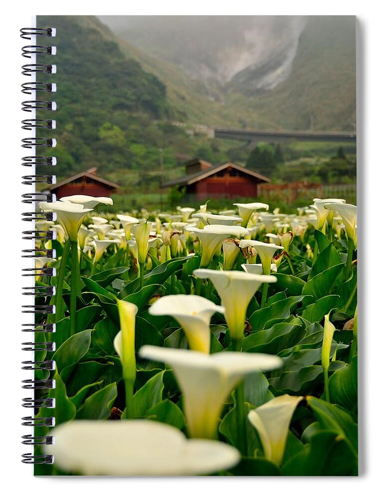 Tranquility Spiral Notebook featuring the photograph Seasons Of Calla Lilies~~ by Photo@stanley Hsu From Taiwan