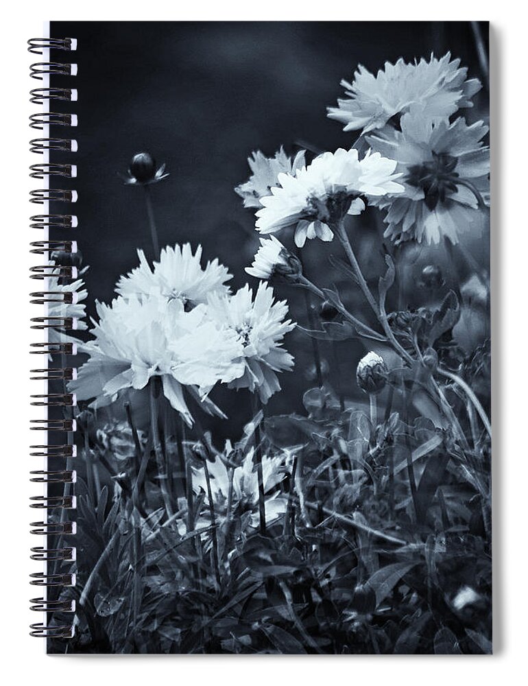 Secret Spiral Notebook featuring the photograph Secret Black and White Garden by Jeff Townsend