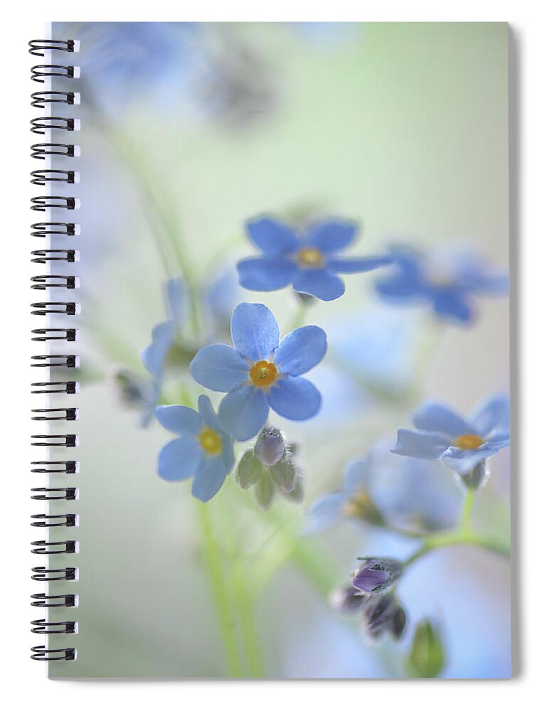 Jenny Rainbow Fine Art Photography Spiral Notebook featuring the photograph Secret Life of Flowers. Subtle Beauty of Forget-Me-Not 29 by Jenny Rainbow