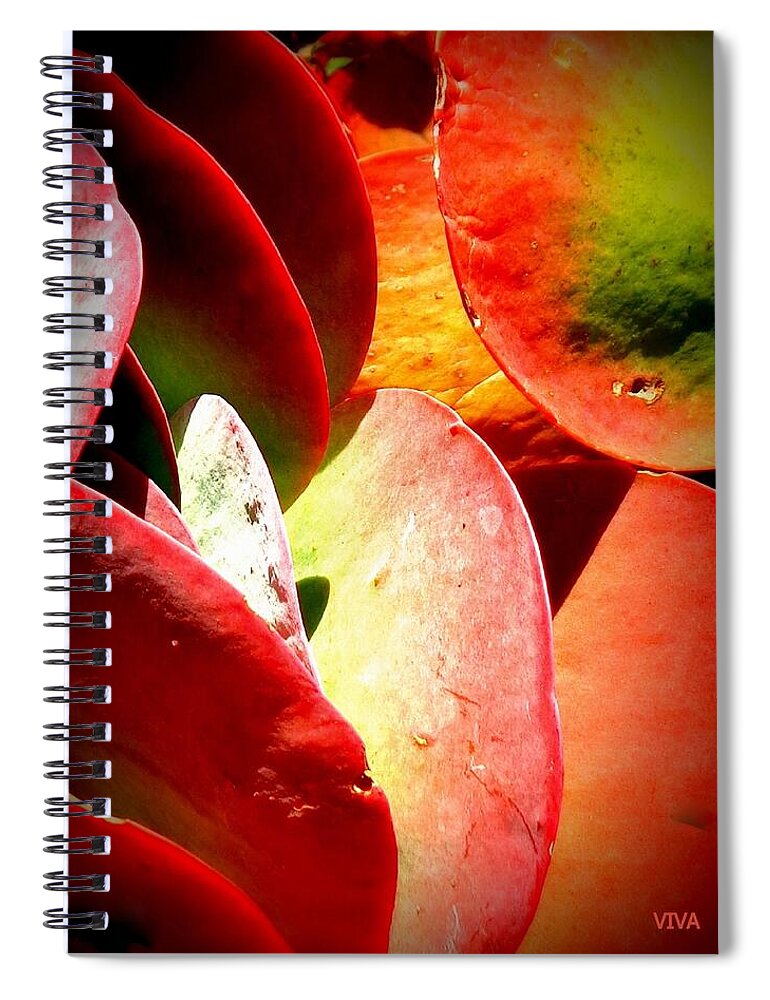 Cactus Spiral Notebook featuring the photograph Secret Life Of Plants by VIVA Anderson