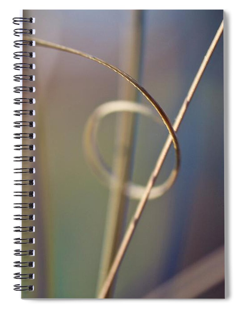 Curled Up Spiral Notebook featuring the photograph Sedge With Full Curl by Photo Ephemera