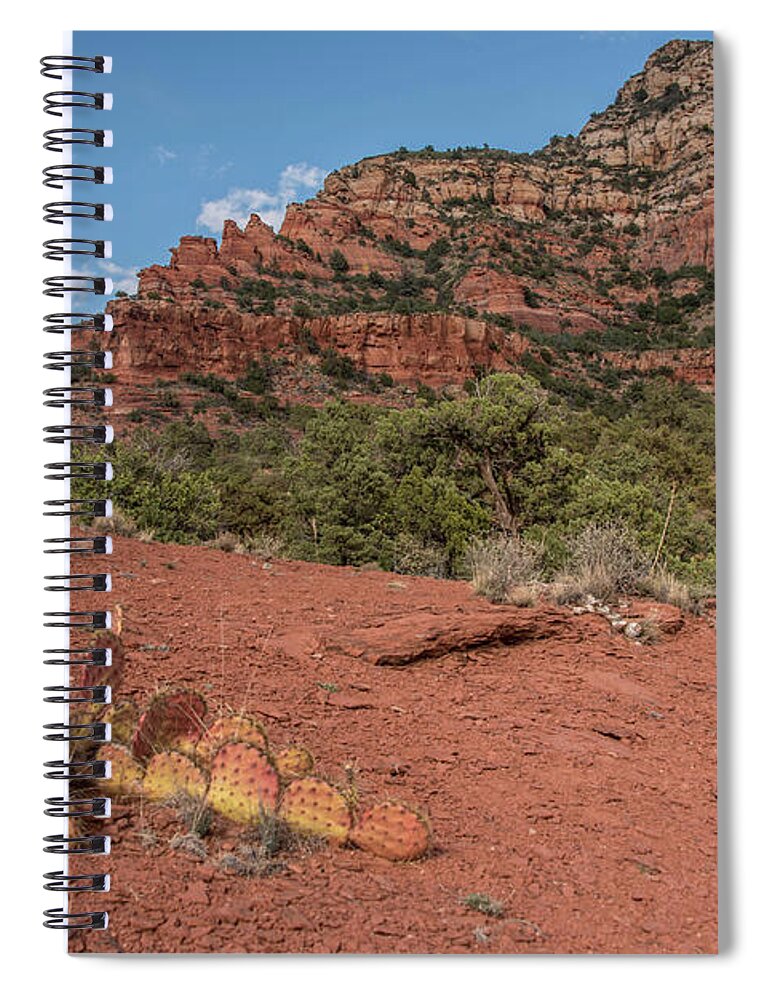 Sedona Spiral Notebook featuring the photograph Sedona red rock and cacti by Alan Goldberg