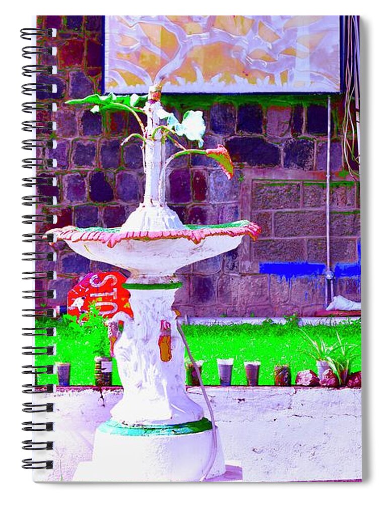 Old Fountain Spiral Notebook featuring the photograph Seedling Garden by Debra Grace Addison