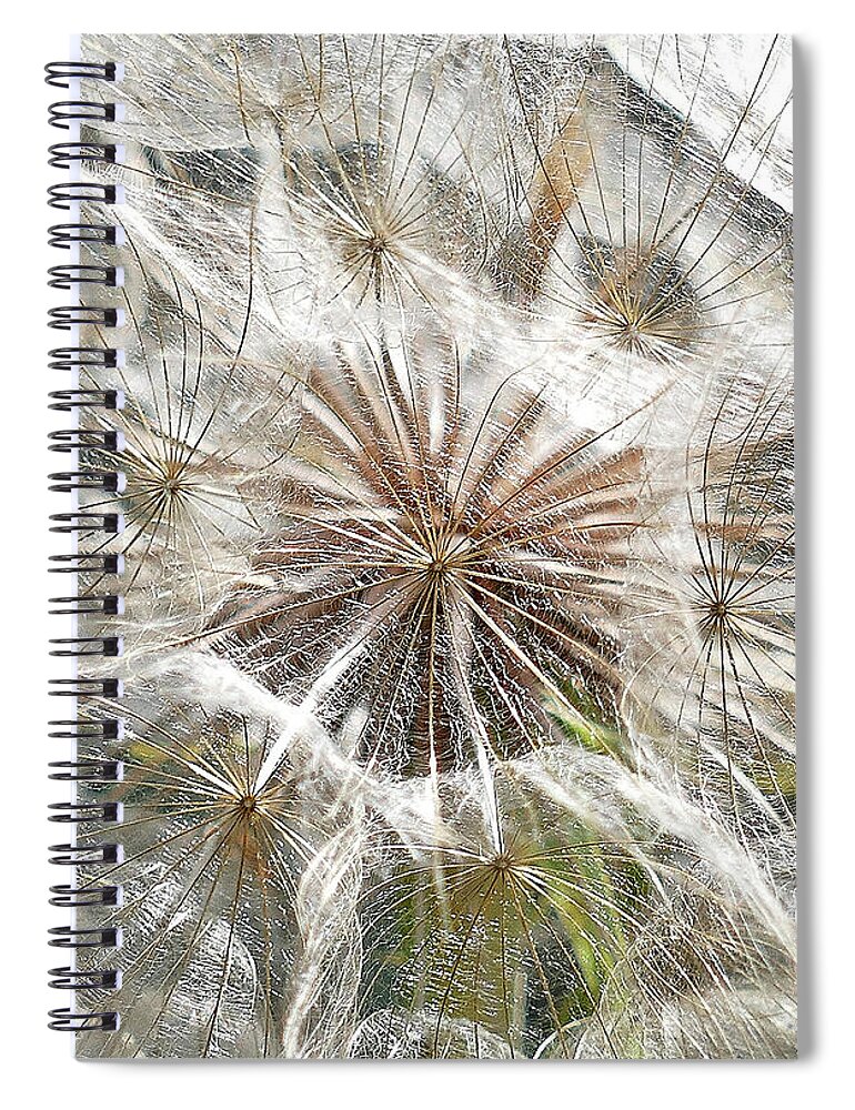Seeds Flower Spiral Notebook featuring the photograph Seeds by Neil Pankler