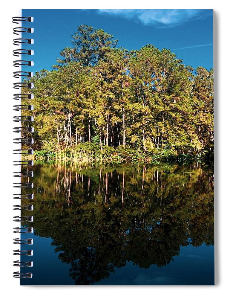 Landscape Spiral Notebook featuring the photograph Seeing Double by Kelly Thackeray