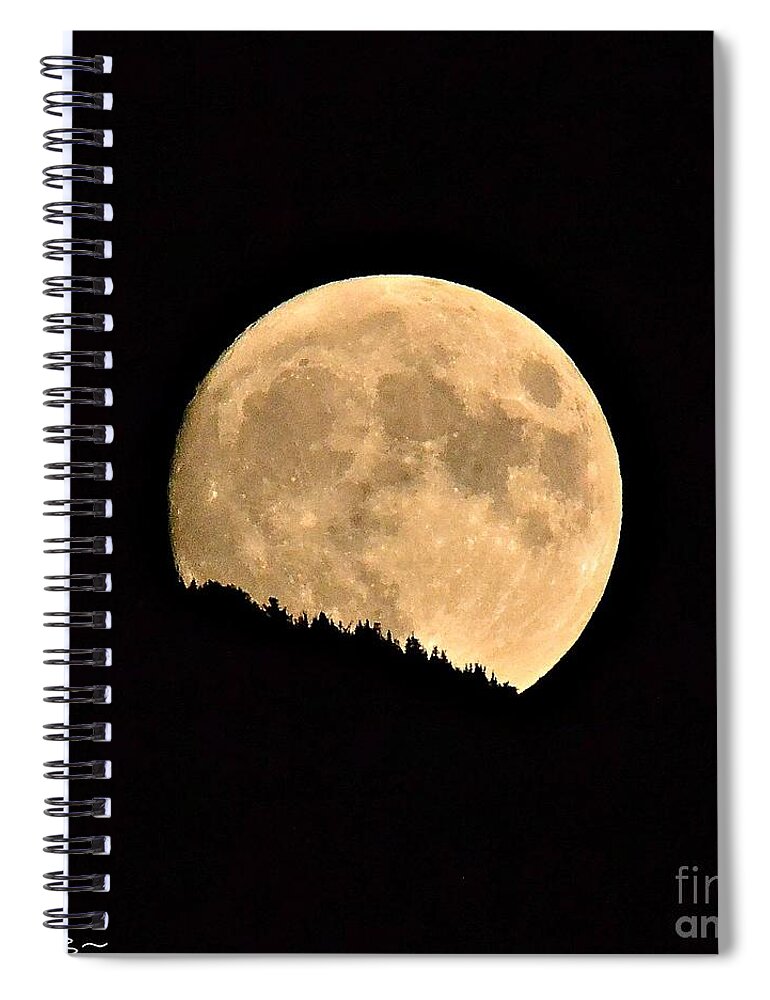 Moon Spiral Notebook featuring the photograph September Moonrise by Dorrene BrownButterfield