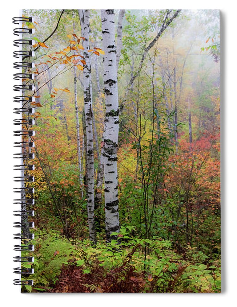 Autumn Spiral Notebook featuring the photograph September Morn by Mary Amerman