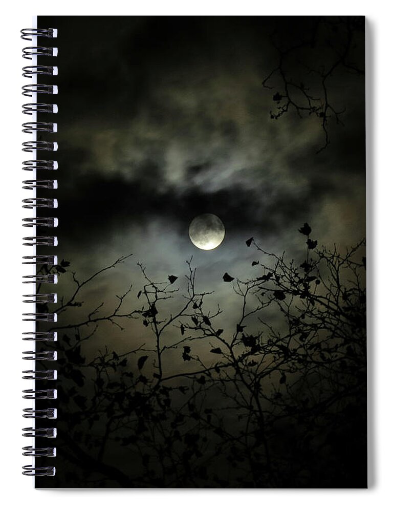 Night Sky Spiral Notebook featuring the photograph Shadow Moon by Linda Stern