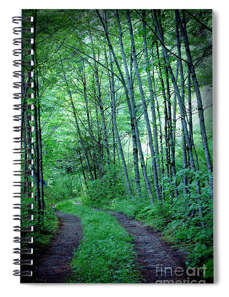 Forrest Spiral Notebook featuring the photograph Shadow Mountain Road by Rich Collins