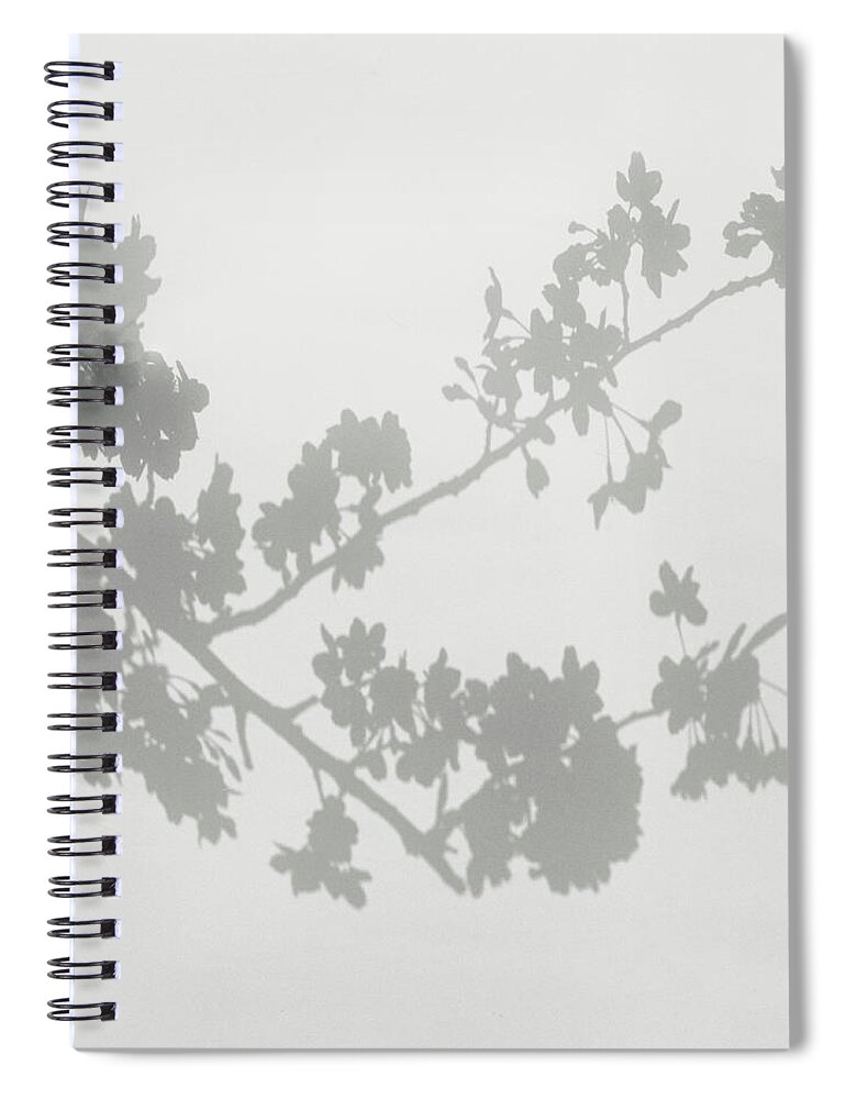 Shadow Spiral Notebook featuring the photograph Shadow Of Cherry Blossoms On Wall by Eriko Koga