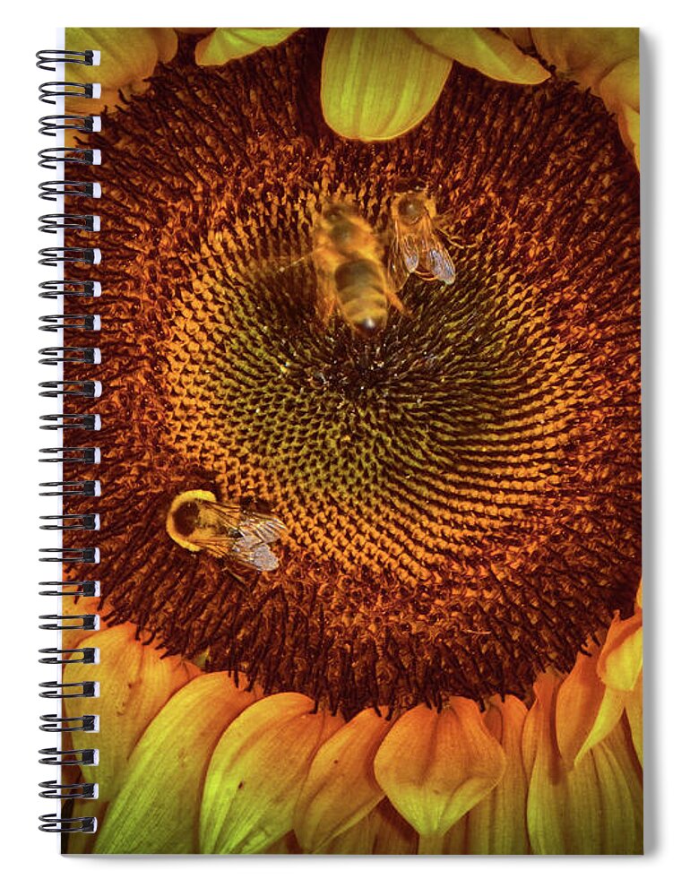 Bees Spiral Notebook featuring the photograph Sharing the Sunflower by Judy Hall-Folde
