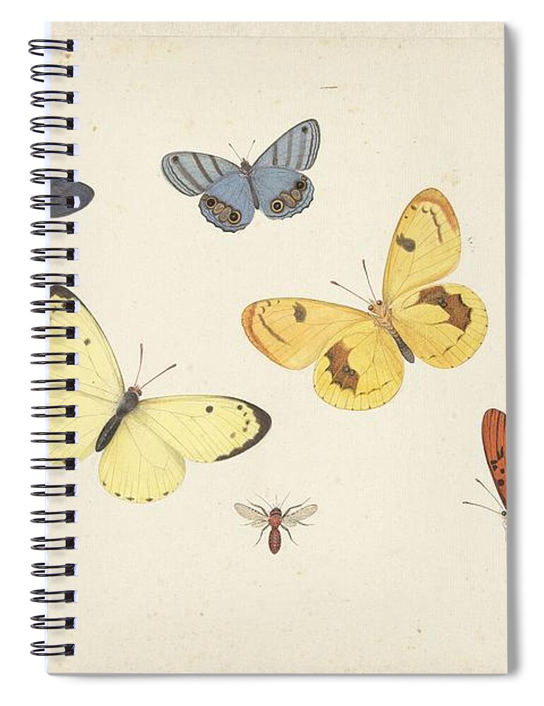 Sheet Of Studies With Five Butterflies Spiral Notebook featuring the painting Sheet of Studies with Five Butterflies by MotionAge Designs