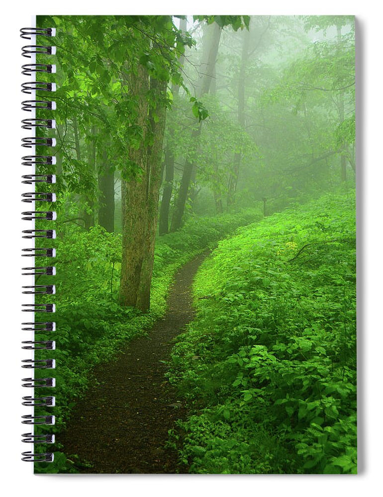 Shenandoah Spring Green At Spiral Notebook featuring the photograph Shenandoah Spring Green AT by Raymond Salani III