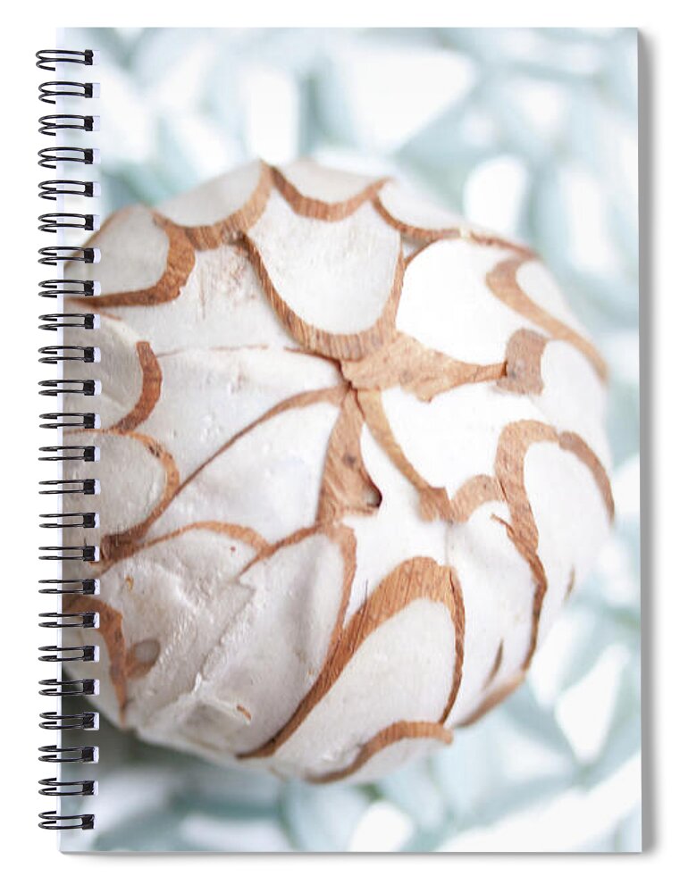 Bundle Spiral Notebook featuring the photograph Shimmer Shells I by Susan Bryant