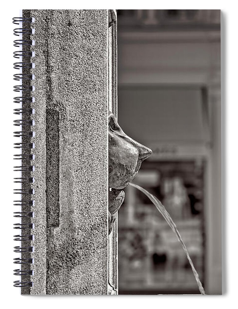 On1 Effects Spiral Notebook featuring the photograph Side view of Lion Fountain by Roberto Pagani