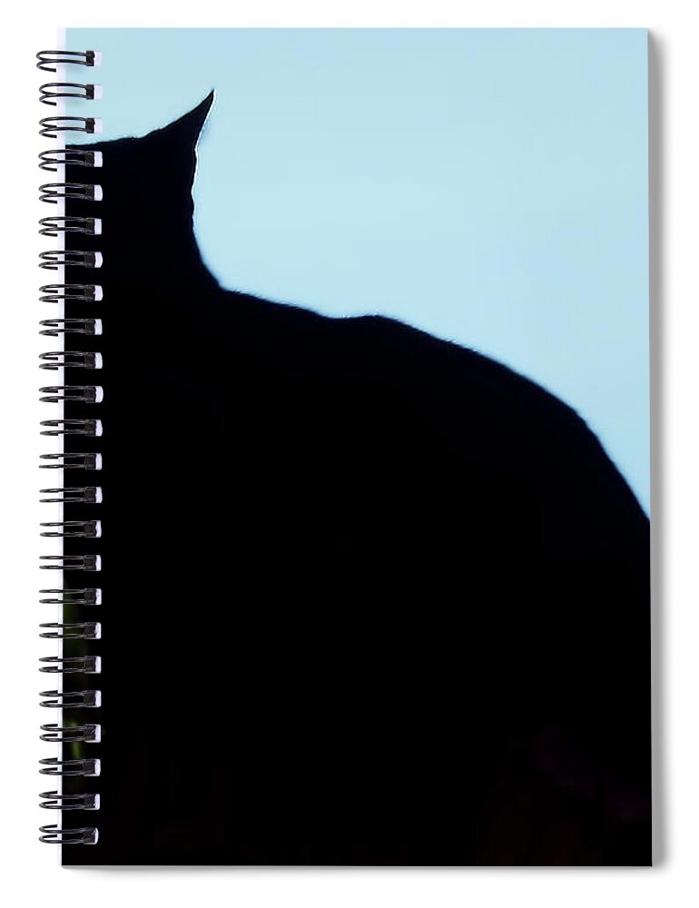 Cat Spiral Notebook featuring the photograph Silhouette Cat by D Hackett