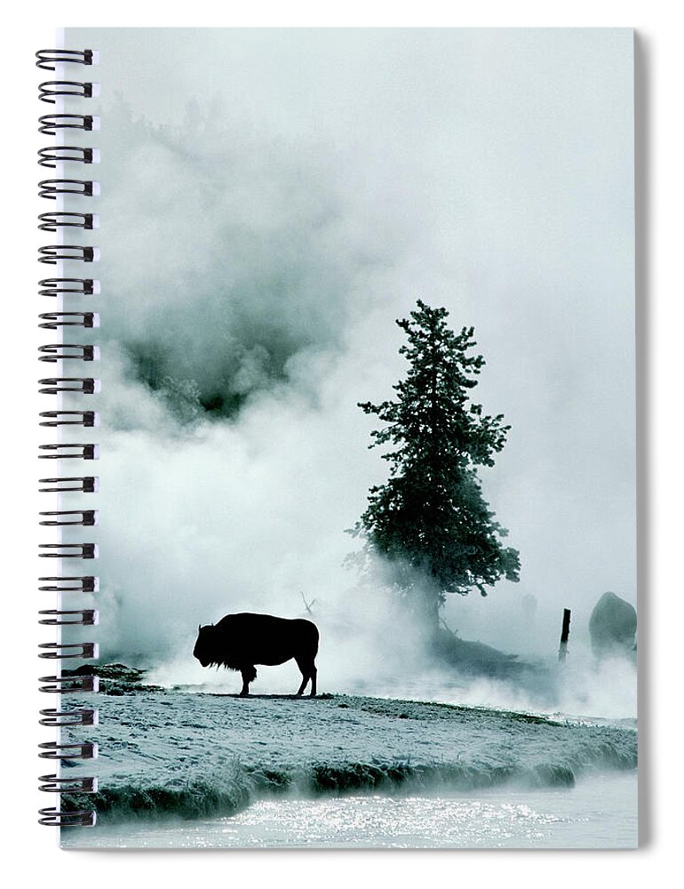 Animal Themes Spiral Notebook featuring the photograph Silhouette Of Buffalo In Winter In by Medioimages/photodisc