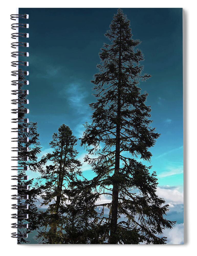 British Columbia Spiral Notebook featuring the photograph Silhouette of tall conifers in autumn by Steve Estvanik