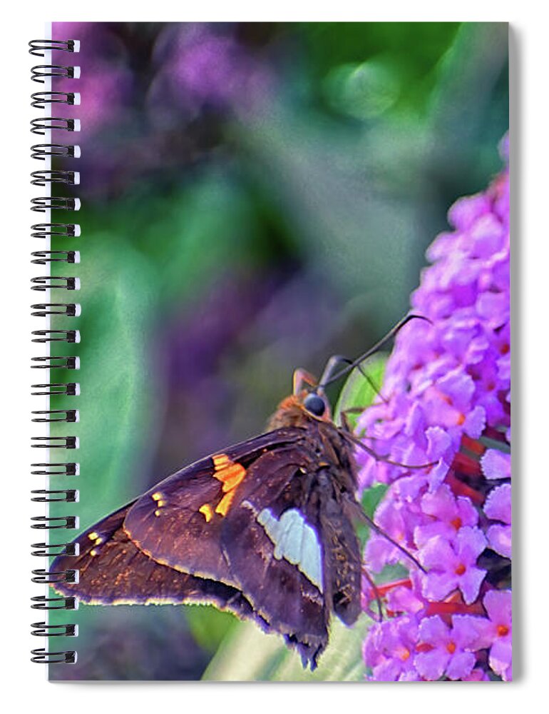 Butterfly Spiral Notebook featuring the photograph Silver-Spotted Butterfly in Maggie Valley, NC by Rebecca Carr
