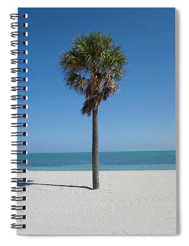 Shadow Spiral Notebook featuring the photograph Single Palm Tree On Crandon Beach by Buena Vista Images