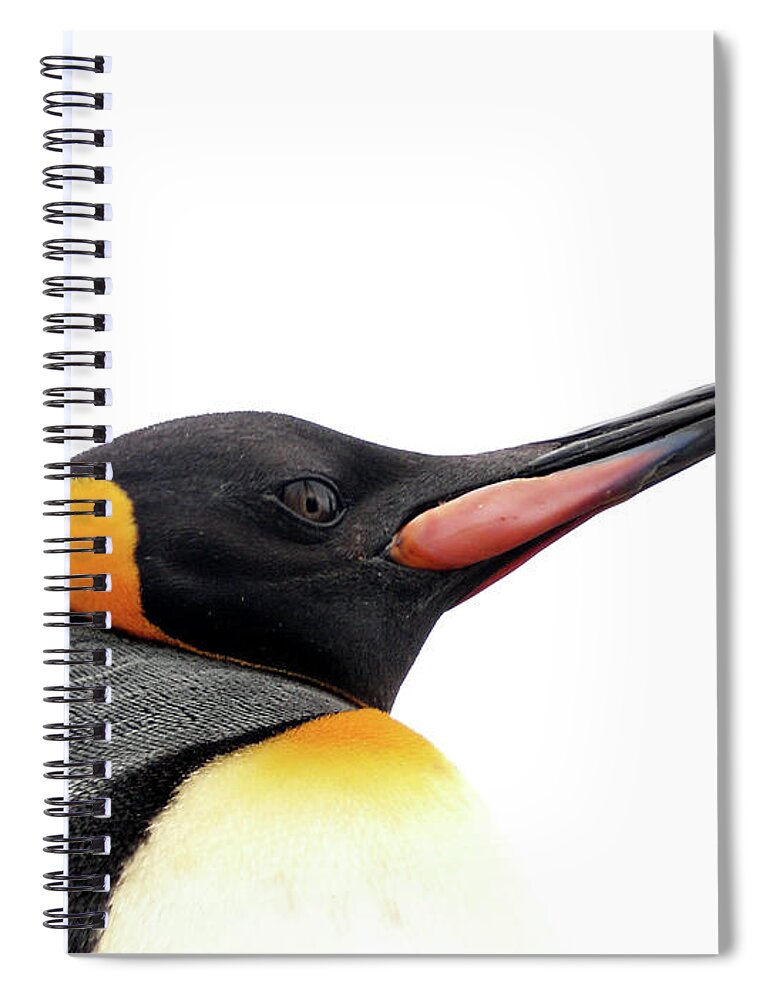 Emperor Penguin Spiral Notebook featuring the photograph Single Penguin by Kolgt