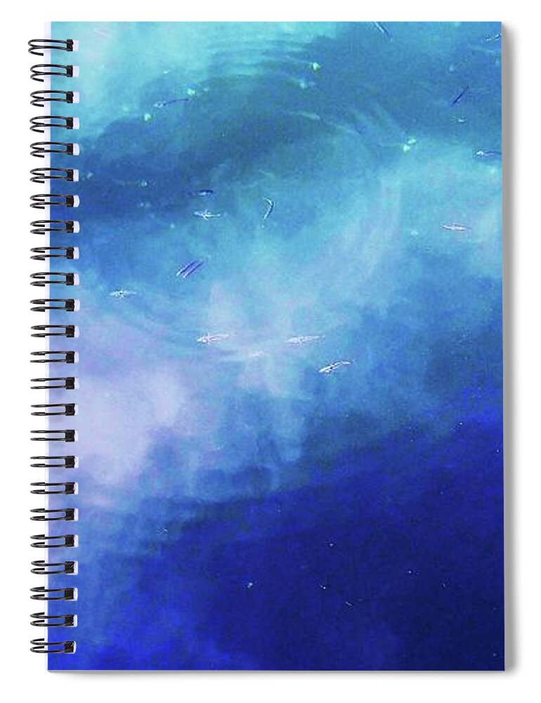 Fish Spiral Notebook featuring the photograph Skyfish by Fred Bailey
