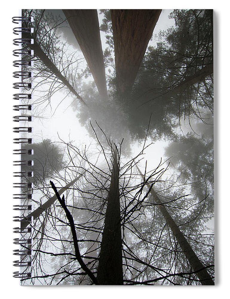 National Park Spiral Notebook featuring the photograph Skyward by Steven Keys