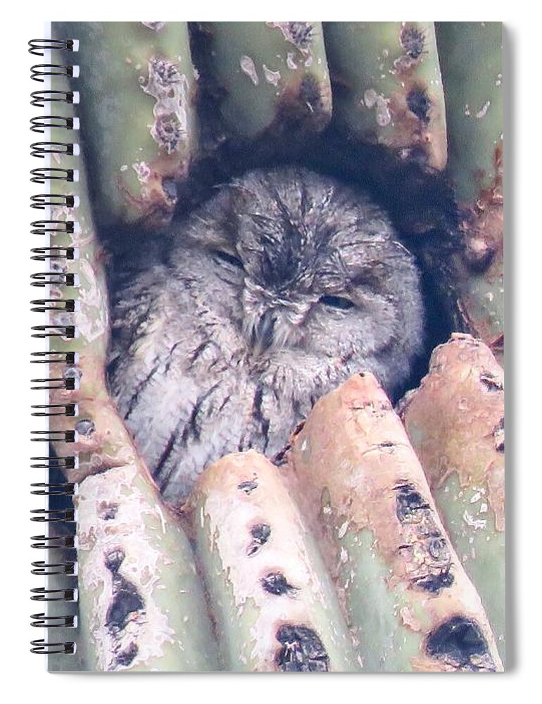 Animals Spiral Notebook featuring the photograph Sleepy Eye by Judy Kennedy