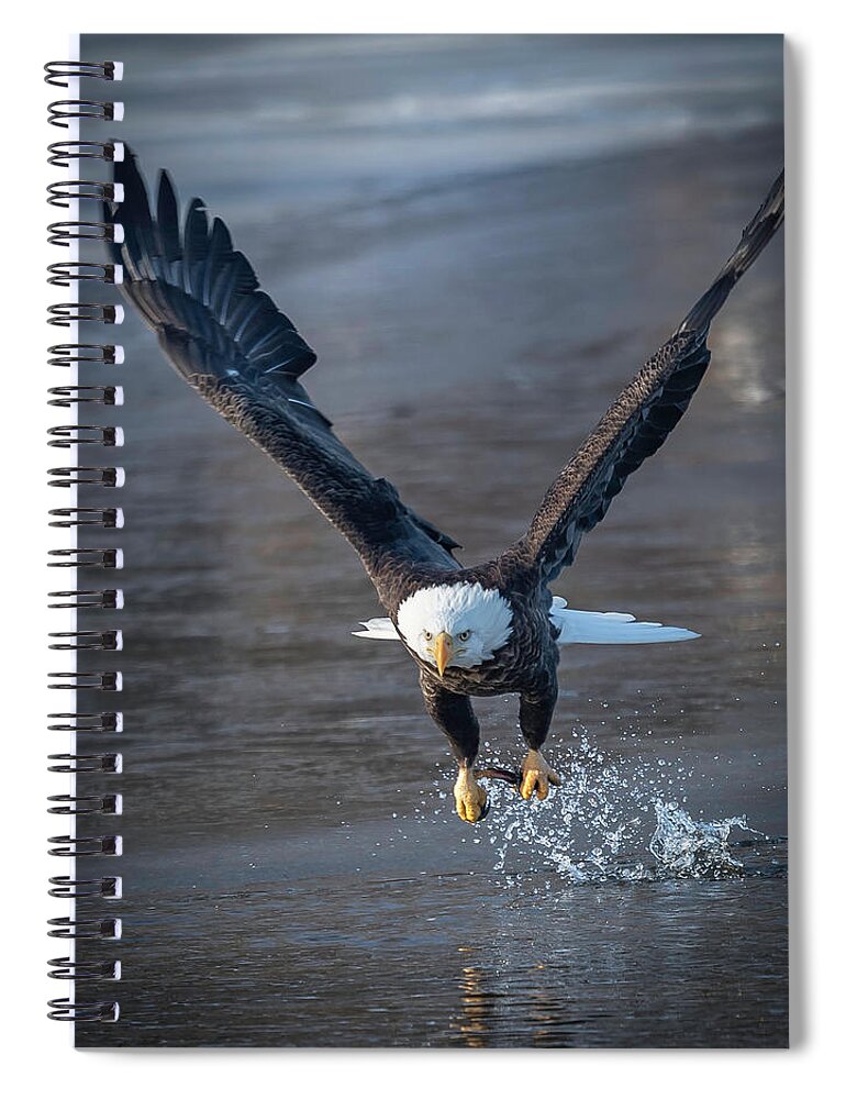 Eagle Spiral Notebook featuring the photograph Slpish Splash by Laura Hedien