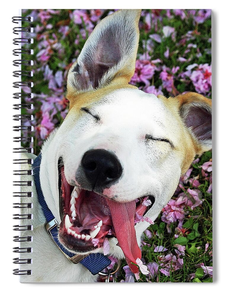 Pets Spiral Notebook featuring the photograph Smiling Dog by Fork