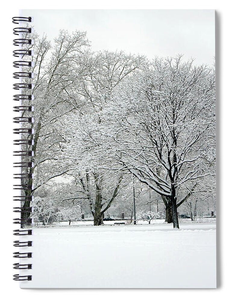Snow Spiral Notebook featuring the photograph Snow Covered Park by Terraxplorer