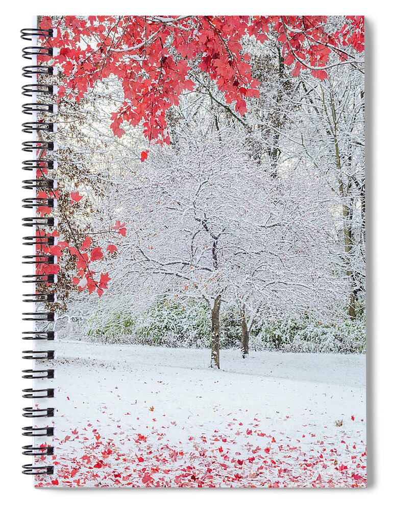 Snow Spiral Notebook featuring the photograph Snow Covered Tree and Red Leaves by Tamara Becker