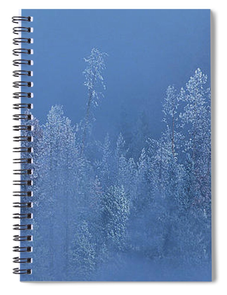 Dave Welling Spiral Notebook featuring the photograph Snow Covered Trees In Fog Yellowstone National Park Wyoming by Dave Welling