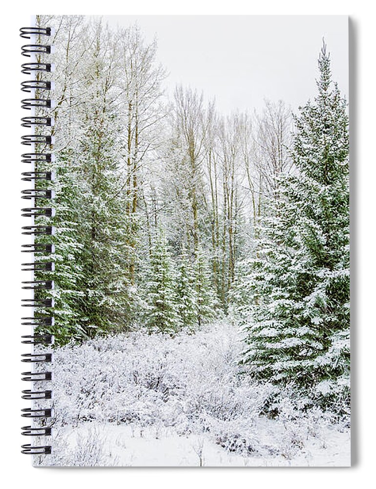 Tranquility Spiral Notebook featuring the photograph Snow Falling On Trees, Banff, Alberta by Stuart Dee