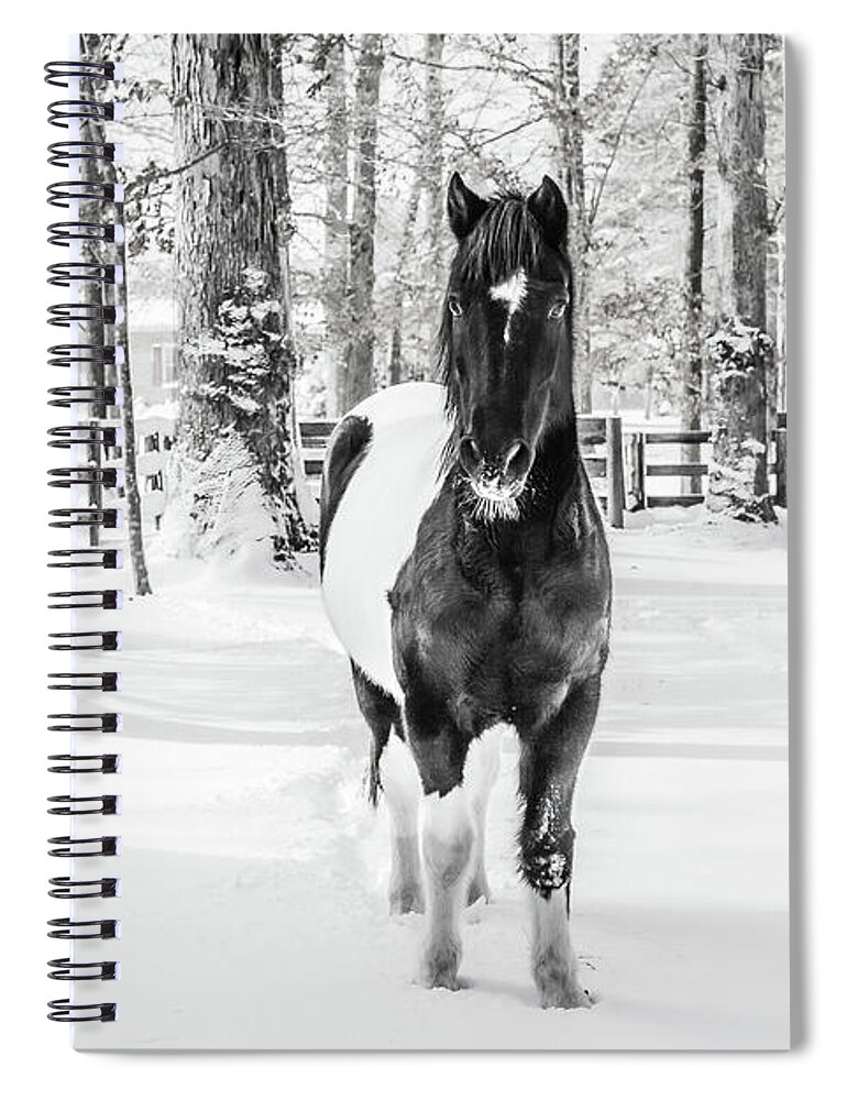 Pony Spiral Notebook featuring the photograph Snow Painted Pony by Donna Twiford